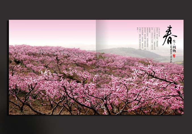 畫冊設計，標志設計，VI設計，交互設計，包裝設計，空間導示，數志視頻，廣告創意設計，博納設計