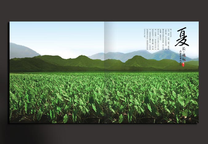 畫冊設計，標志設計，VI設計，交互設計，包裝設計，空間導示，數志視頻，廣告創意設計，博納設計