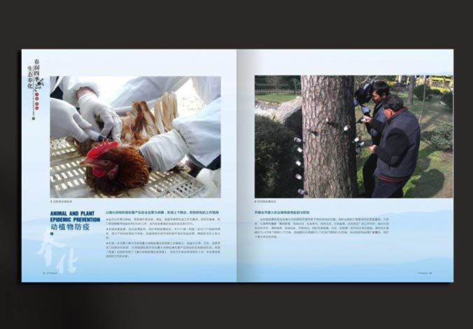 畫冊設計，標志設計，VI設計，交互設計，包裝設計，空間導示，數志視頻，廣告創意設計，博納設計