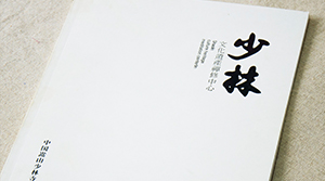 少林文化遺產