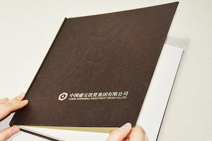 中國盛寶投資集團 畫冊設計 宣傳冊設計 北京彩頁設計 logo設計 商標設計 標志設計 企業logo設計 VI設計 VI設計公司 品牌設計 品牌設計公司