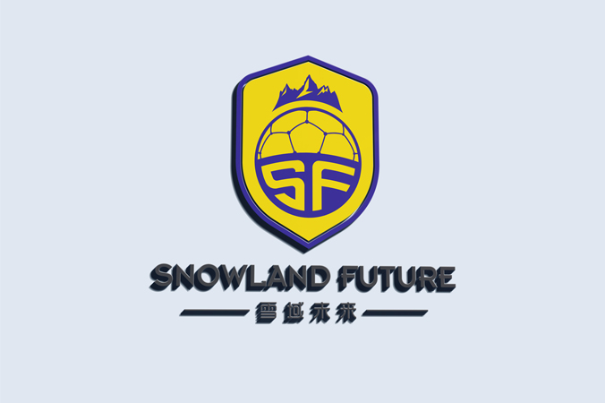 雪域未來 logo設計 公司logo設計 企業標志設計