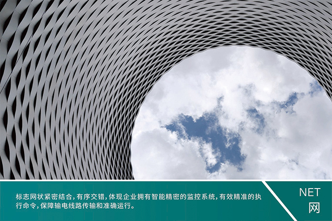 商標設計，產品商標設計，logo設計   中國電科院-風險智控系統
